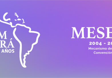 Se realizó la IX Conferencia de Estados Parte del MESECVI y se destacó la situación de Argentina